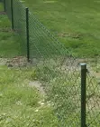 Coated Chain Link Fence Wire Mesh (6 & 8 Ft) - 1