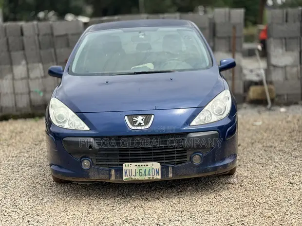 Peugeot 307 2007 Blue - 1