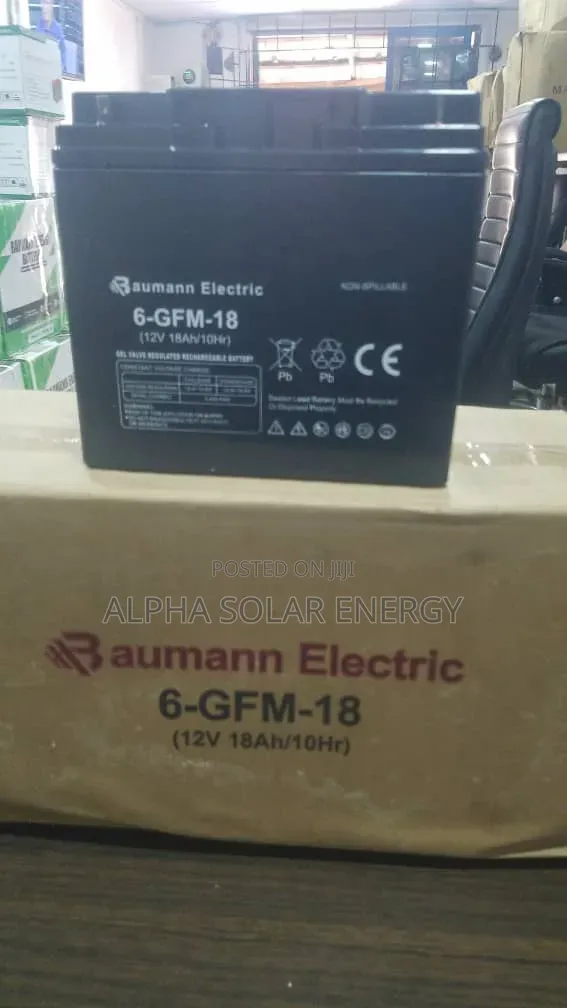 12V 18Ah Baumann Baturiya Ta Lantarki - 1