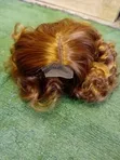 Bounce Wig - Curly/Wavy Human Hair - 2