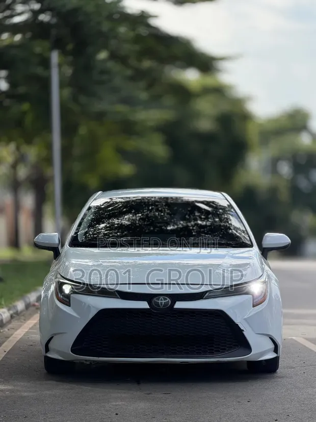 Toyota Corolla LE 2019 - 1