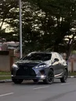 Lexus RX350 2022 Beige - 2