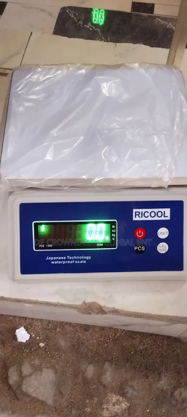 30kg Electronic Weighing Scale (0.1g Precision) - 1