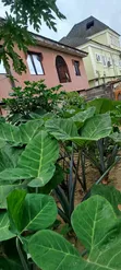 Bungalow mai dakuna 2 don siyarwa, Isuti Rd, Ikotun/Igando - 3