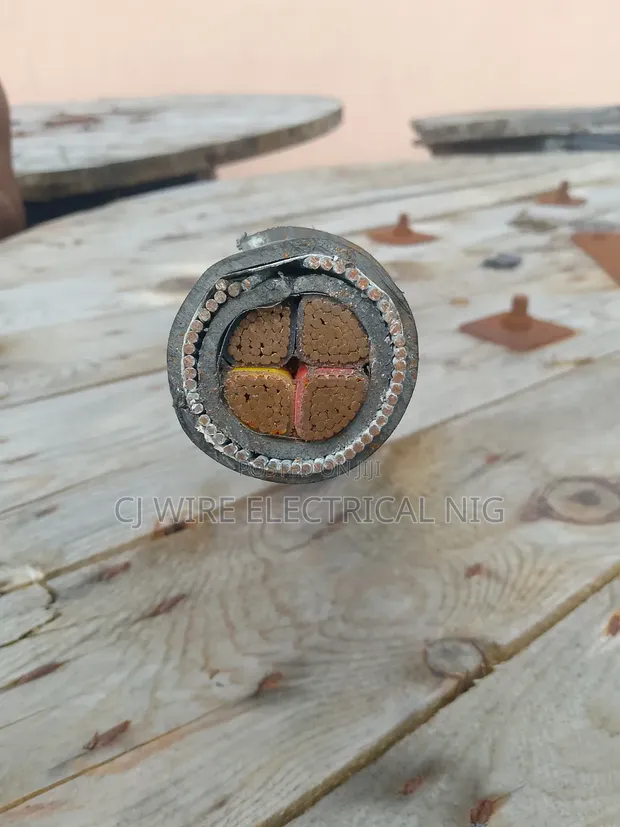 120mm 4-Core Armored Cable - 1