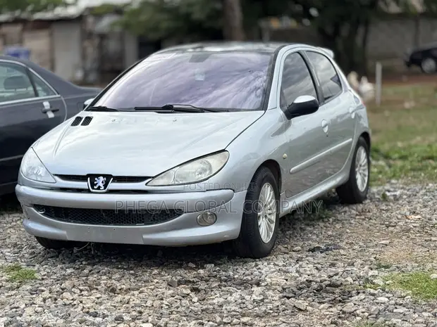 Peugeot 206 2005 Silver - 1