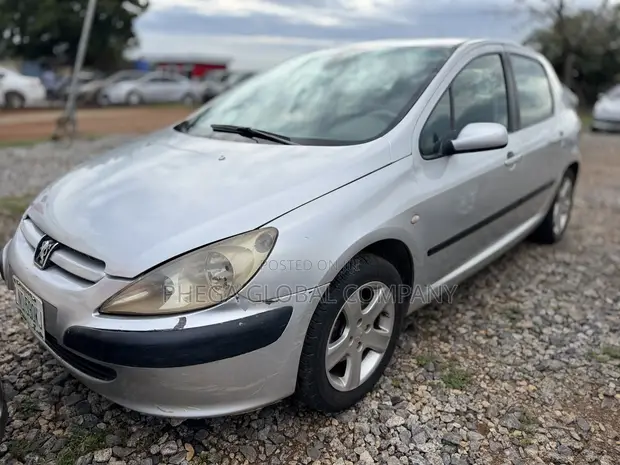 Peugeot 307 2007 Silver - 1