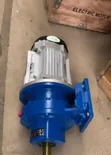 Brand New 4HP 3-Phase Induction Gearmotor - 2