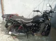 Super Gallant Buffalo 2025 Baki - 1