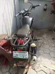 Super Gallant Buffalo 2025 Baki - 4