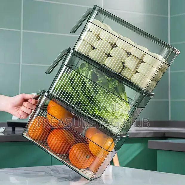 Vegetable Storage Container - 1