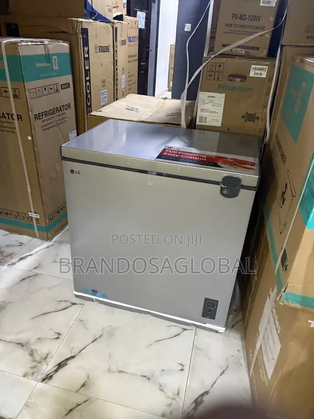 LG FRZ205BQCF 194L Silver Chest Deep Freezer - 1