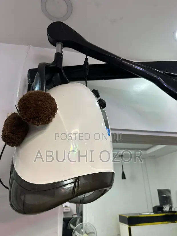 Equator 3000 Professional Wall-Mounted Hooded Hair Dryer - 1