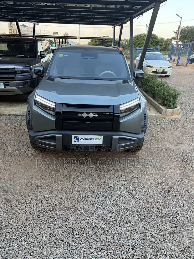 BYD Fangchengbao Leopard 3 2025 Kore - 1