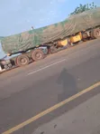 Dangote & BUA Cement Distributor - Maiduguri - 2