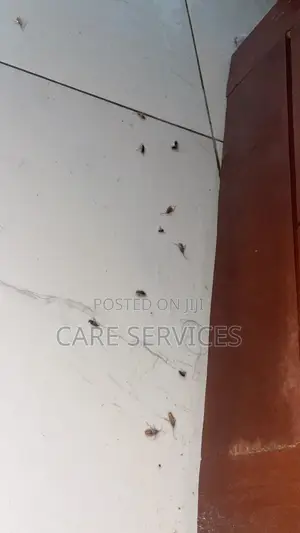 Sabis na Kawar da Mazaunai masu Inganci