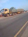 Dangote Cement Dealer - Potiskum - 2