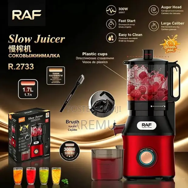 Brand New Raf Slow Juicer - 1