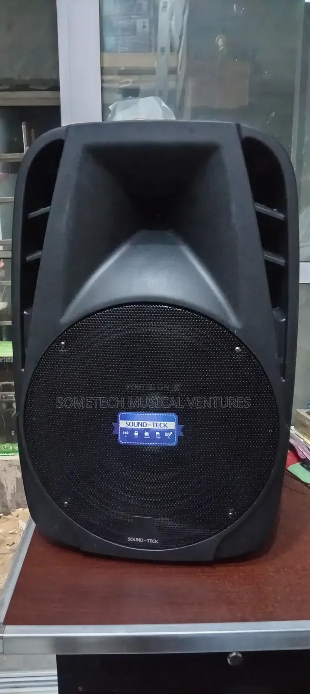 Sound Teck PA System 12000W - 1