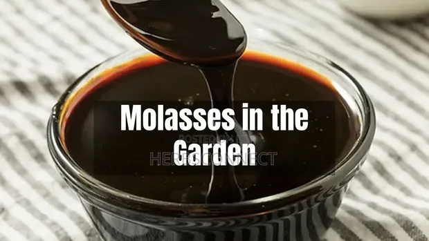 Organic Blackstrap Molasses - 600ml - 1