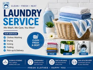Professional Laundry Service - Lagos