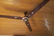 STC Ceiling Fan - Brown & Gold - 1