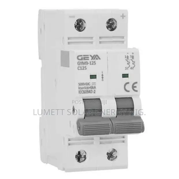 Geya 100A Miniature DC Circuit Breaker GYM9-125DC-100 - 1