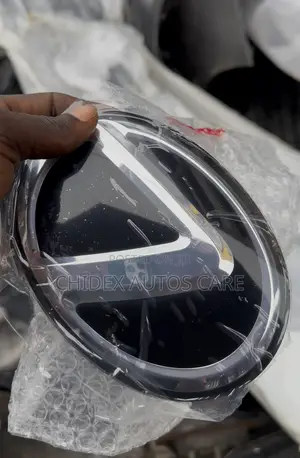 Lexus RX350 2013 Front Grill Logo