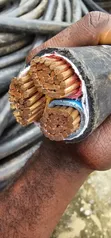 150mm x 3 Core PVC/PVC Cable (1500m) - 2