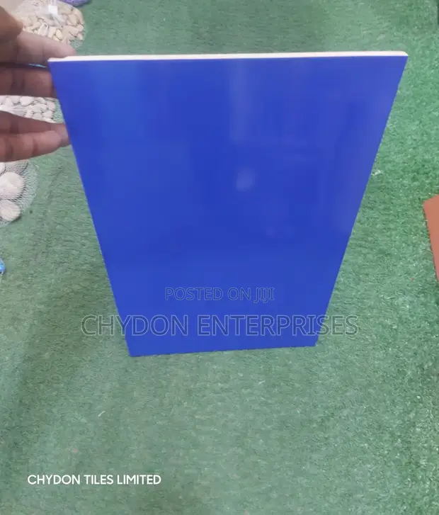 Swimming Pool Tiles - Glossy Finish - 1