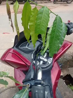 Honda PCX 2500 Scooter - 2025