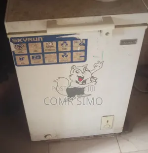 Skyrun Chest Freezer