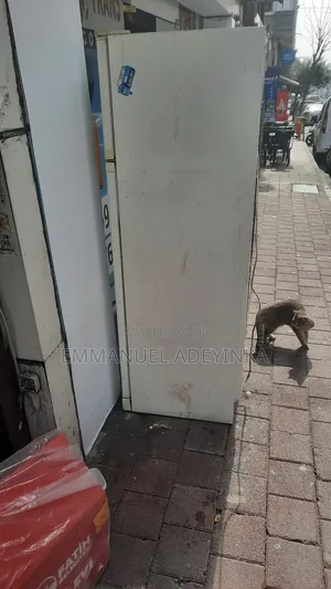 Arcelik Firijin Kofa Biyu