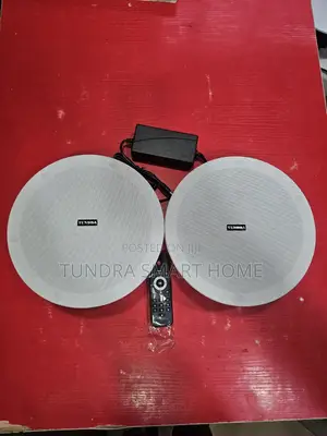 Tundra 30W 2-in-1 Frameless Bluetooth Masu Magana