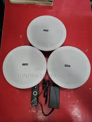 Tundra 30W 3-in-1 Frameless Bluetooth Ceiling Speaker