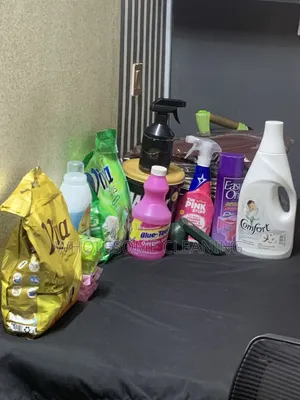 Wholesome Laundry and Cleaning Services