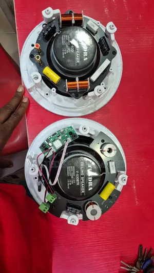 Tundra 30W Babban Mai Magana ta Bluetooth