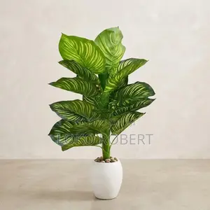 Artificial Calathea / Zebra Plant Faux Shuka Mai Kyau