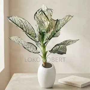 Gaskiyar Aglaonema/Caladium Artificial Plant a White Pot