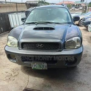 Hyundai Santa Fe GLS 3.5L 2004 Baki