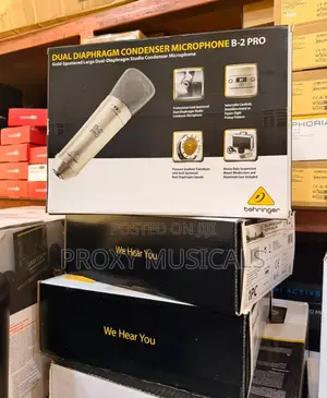 Behringer B-2 Pro Dual-Diaphragm Condenser Microphone