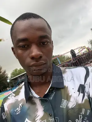 Kwararren Direba CV - Motar Kasuwanci & Jirgin Sirri
