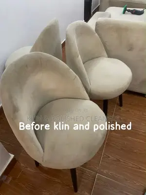 Sofa and Rug Deep Cleaning Service