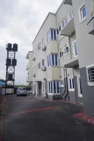 Mai Tsabtace Gida da Wanke Mota na Kwarai