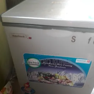 Scanfrost Mini Deep Freezer 111L
