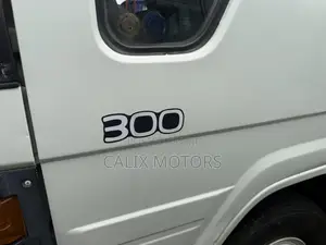 Toyota Dyna 300 Mini Truck (Foreign Used)