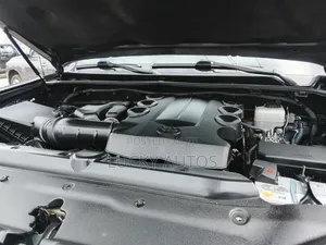 2010 Toyota 4-Runner Gray