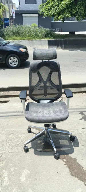 Sabon Orthopedic Mesh Office Chair - Fari