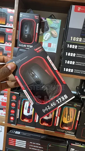 6D Wireless Ergonomic Mouse