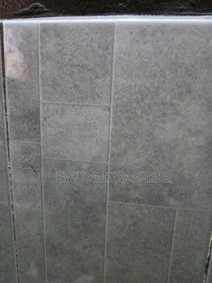 BAYCHIE Cleaning and Sanitation Services